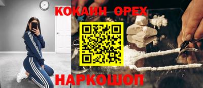 твердый Камень-на-Оби