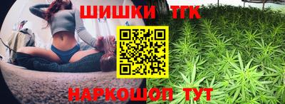 твердый Камень-на-Оби