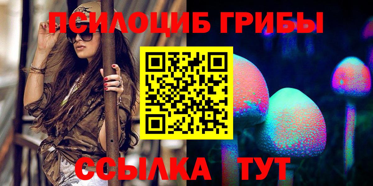 Дзержинск  Псилоцибиновые грибы MAGIC MUSHROOMS  Вход с VPN 